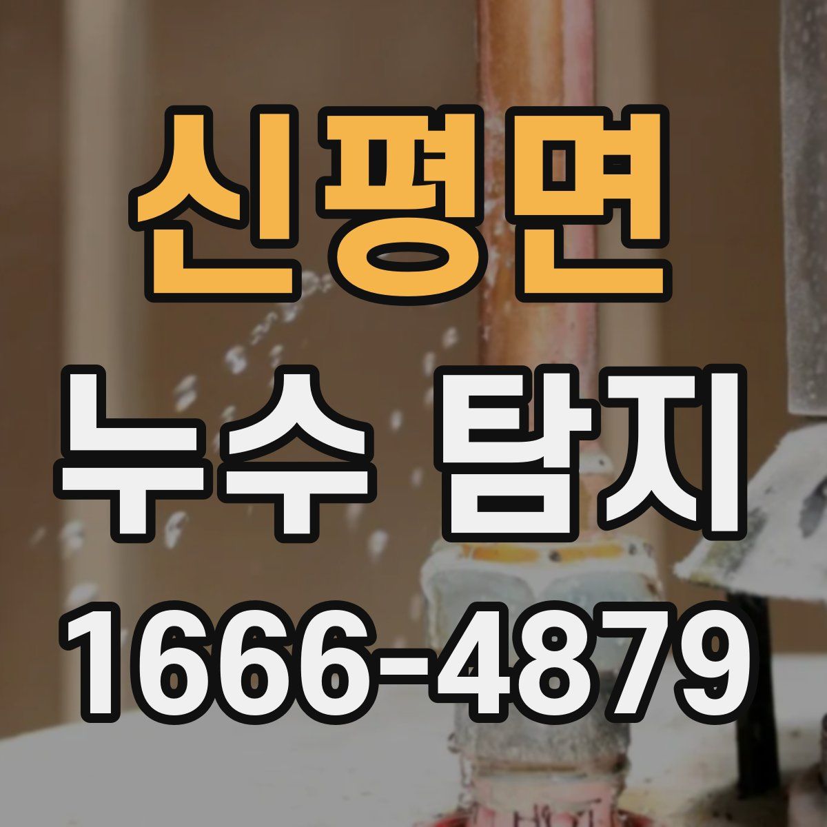 신평면 누수 탐지