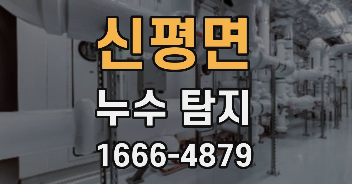 신평면 누수 탐지