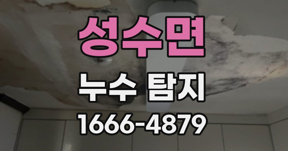 성수면 누수 탐지
