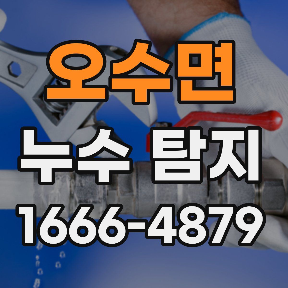 오수면 누수 탐지