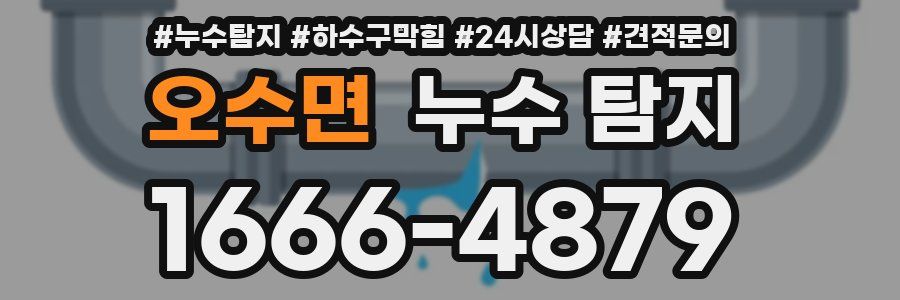 오수면 누수 탐지