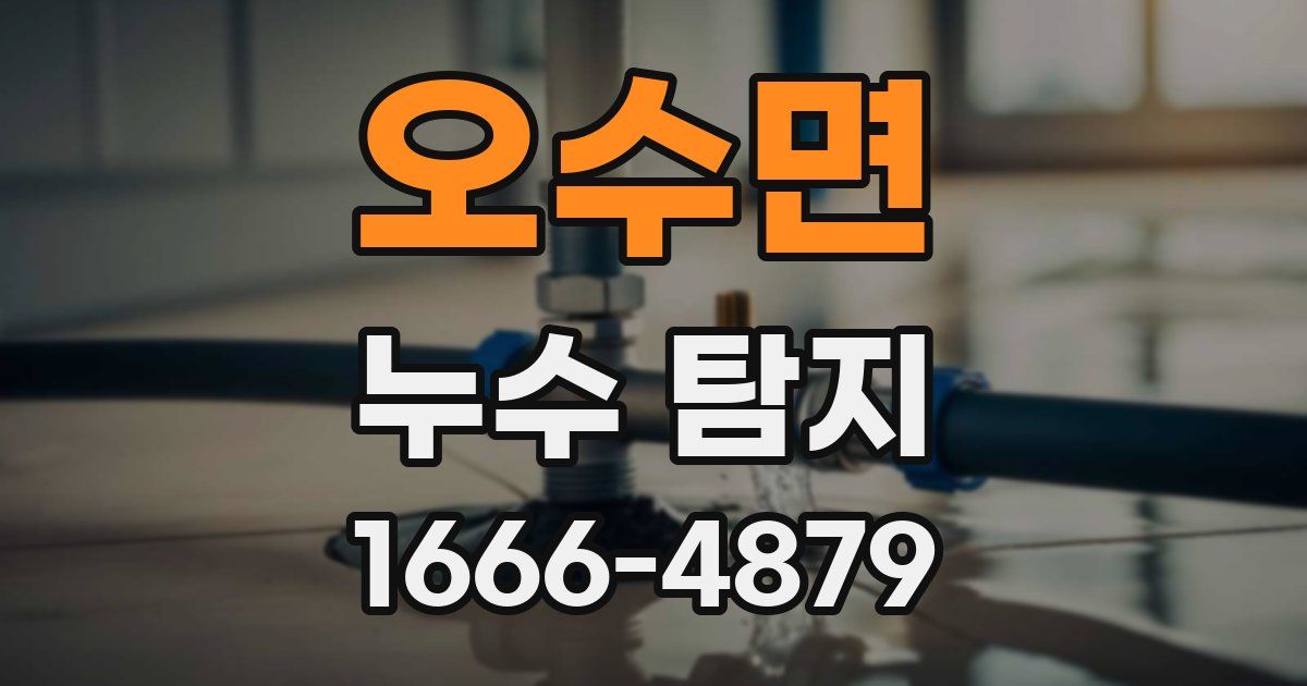 오수면 누수 탐지