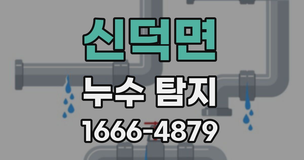 신덕면 누수 탐지