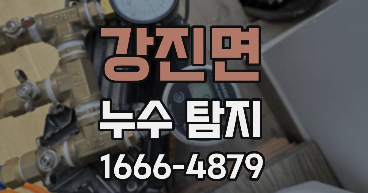강진면 누수 탐지