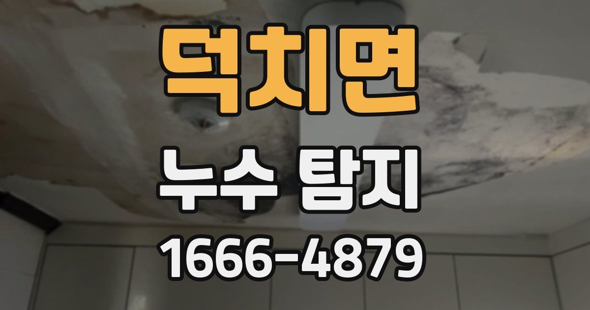 덕치면 누수 탐지