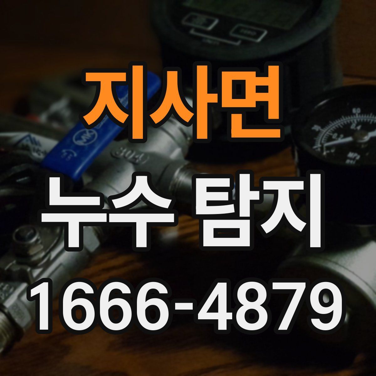 지사면 누수 탐지