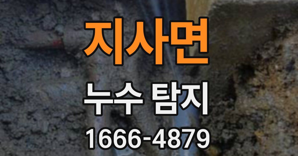 지사면 누수 탐지