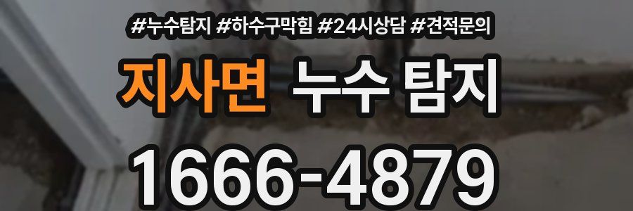 지사면 누수 탐지