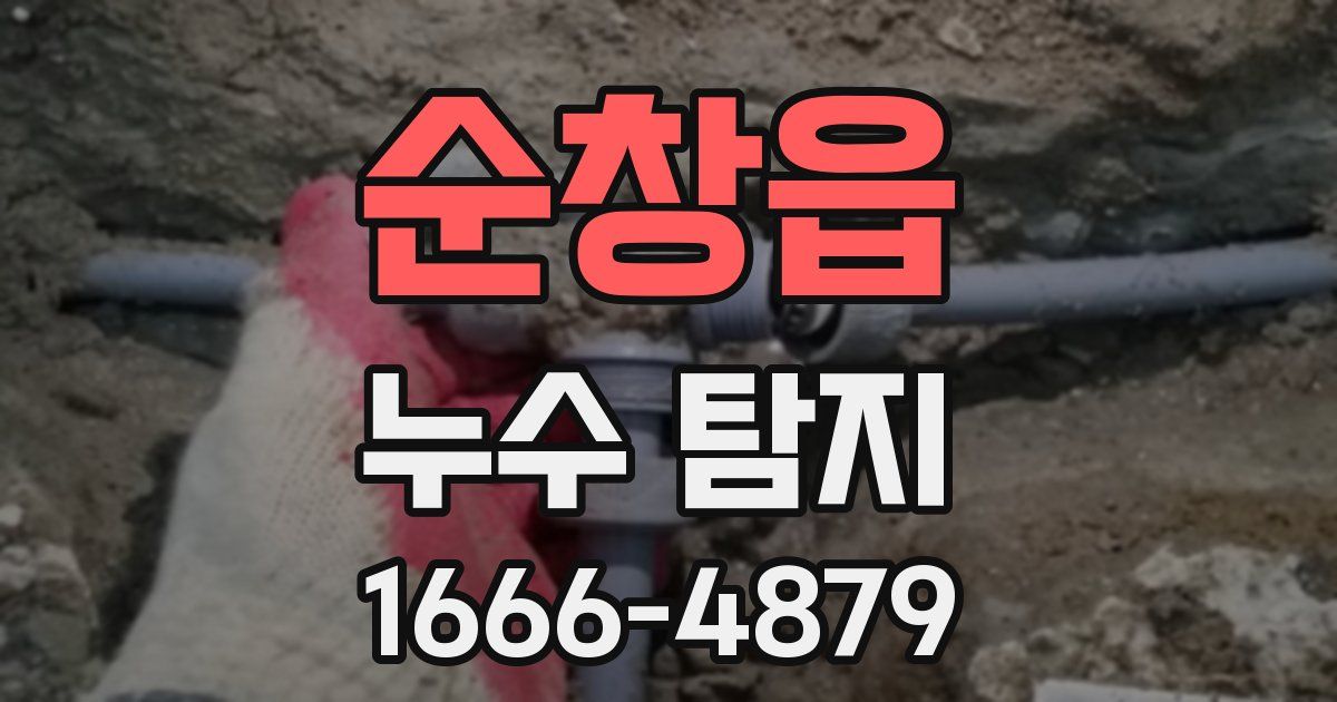 순창읍 누수 탐지