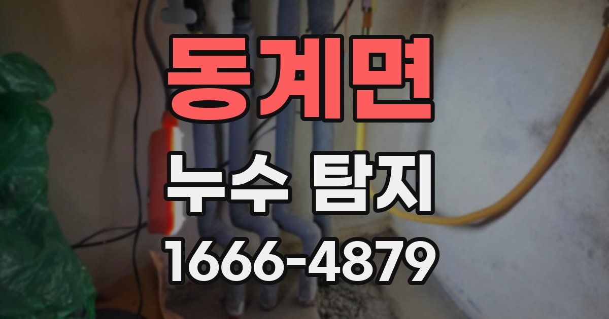 동계면 누수 탐지
