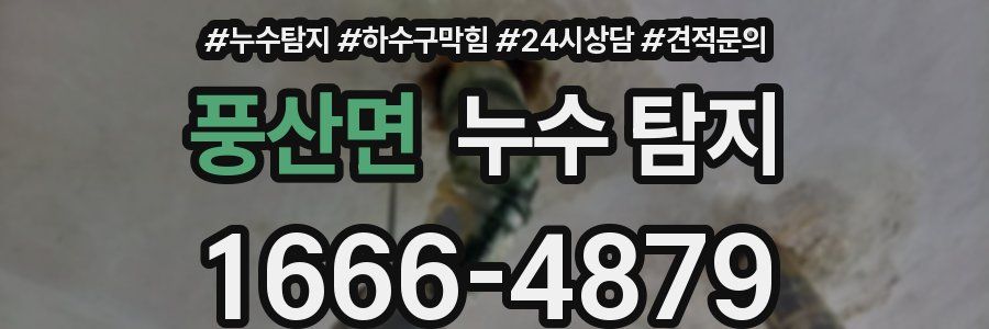 풍산면 누수 탐지