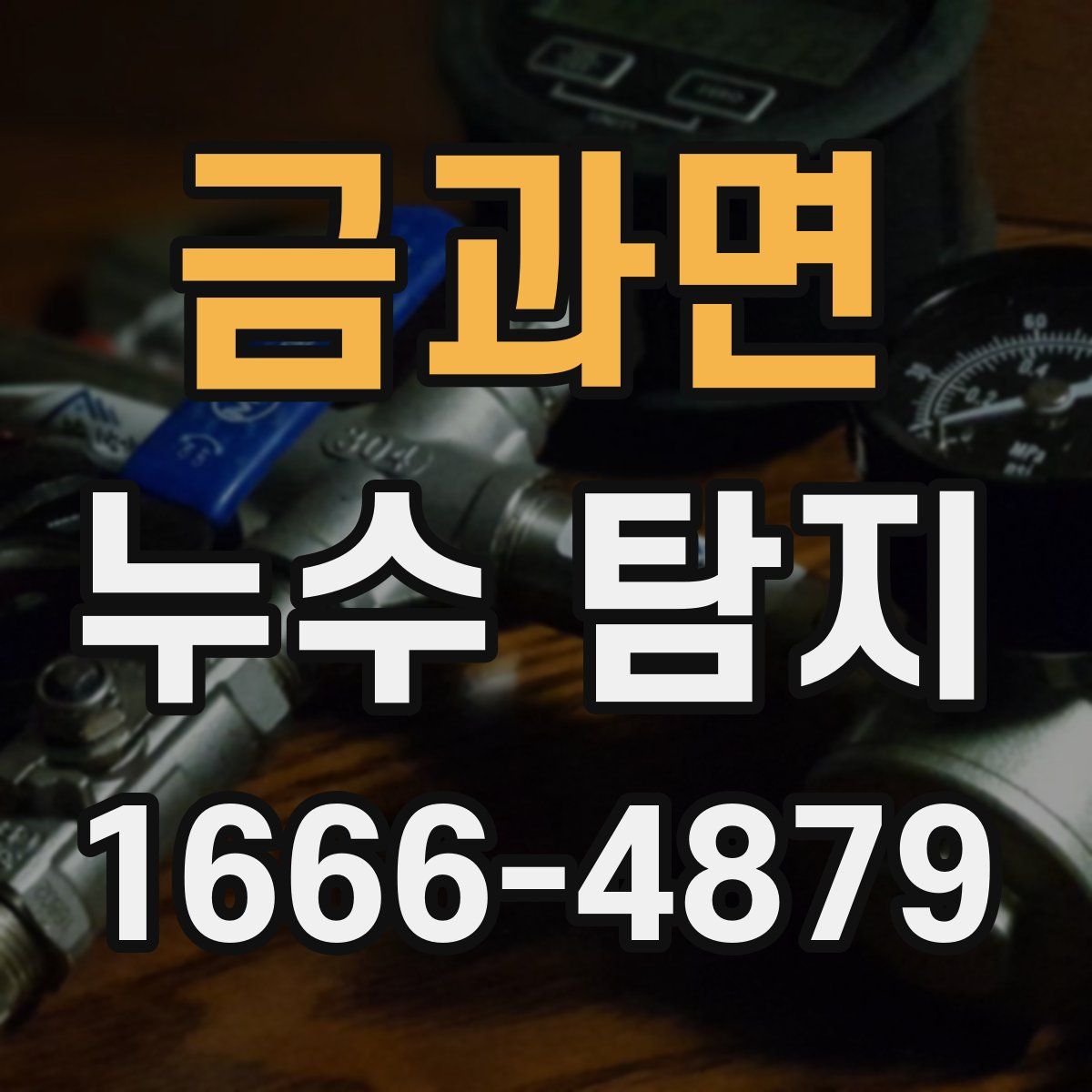 금과면 누수 탐지