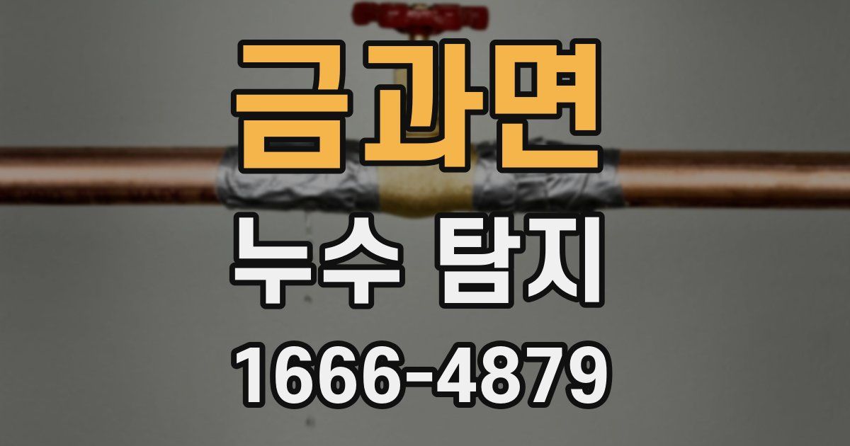 금과면 누수 탐지