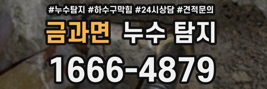 금과면 누수 탐지