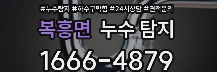 복흥면 누수 탐지