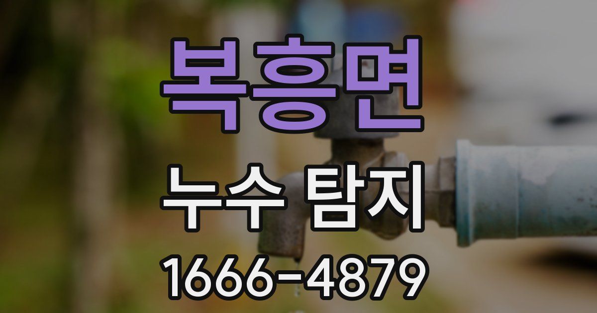 복흥면 누수 탐지