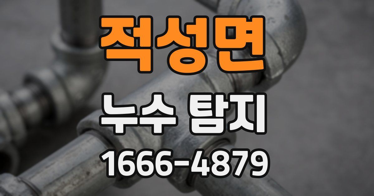 적성면 누수 탐지