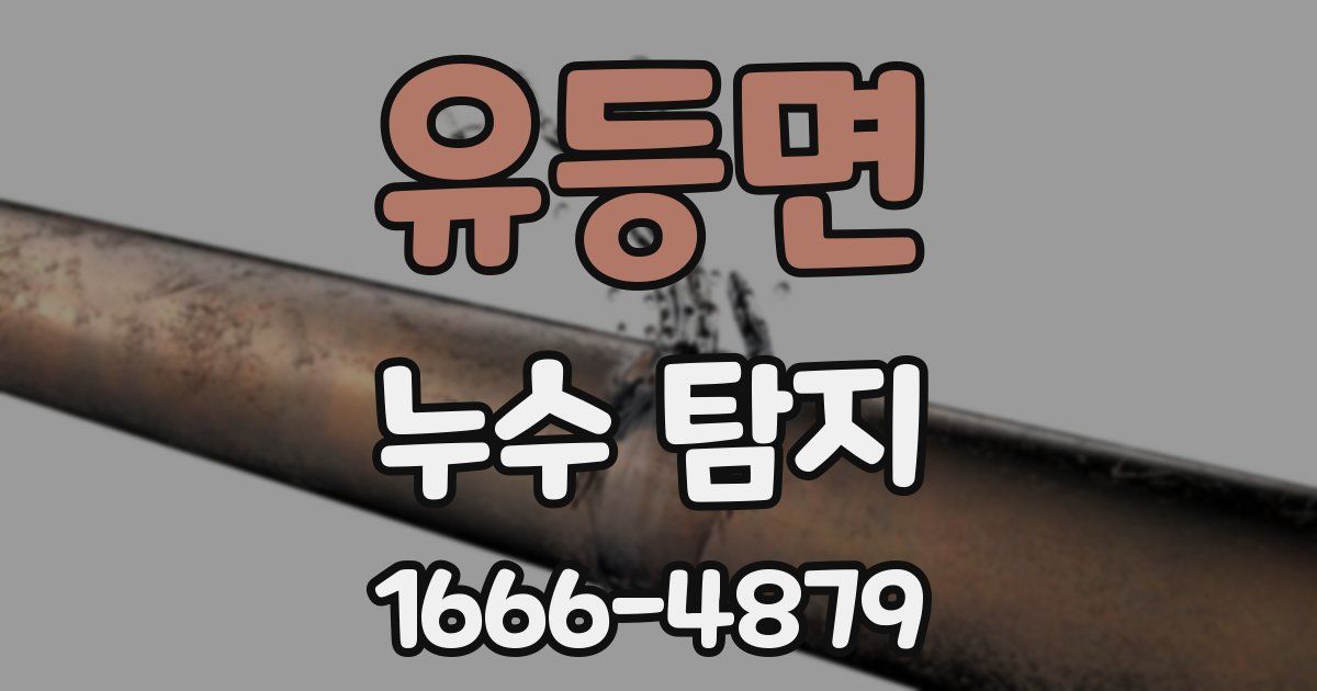 유등면 누수 탐지