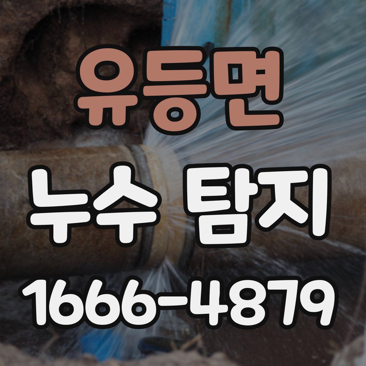유등면 누수 탐지