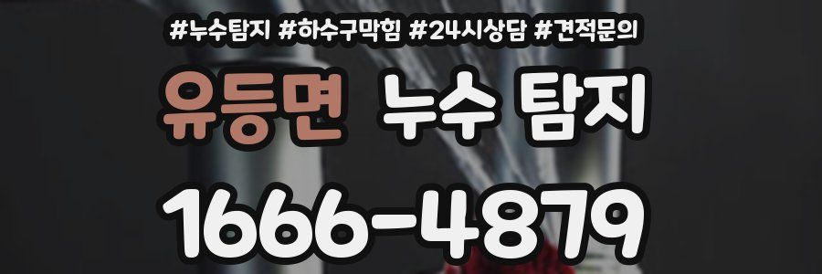 유등면 누수 탐지