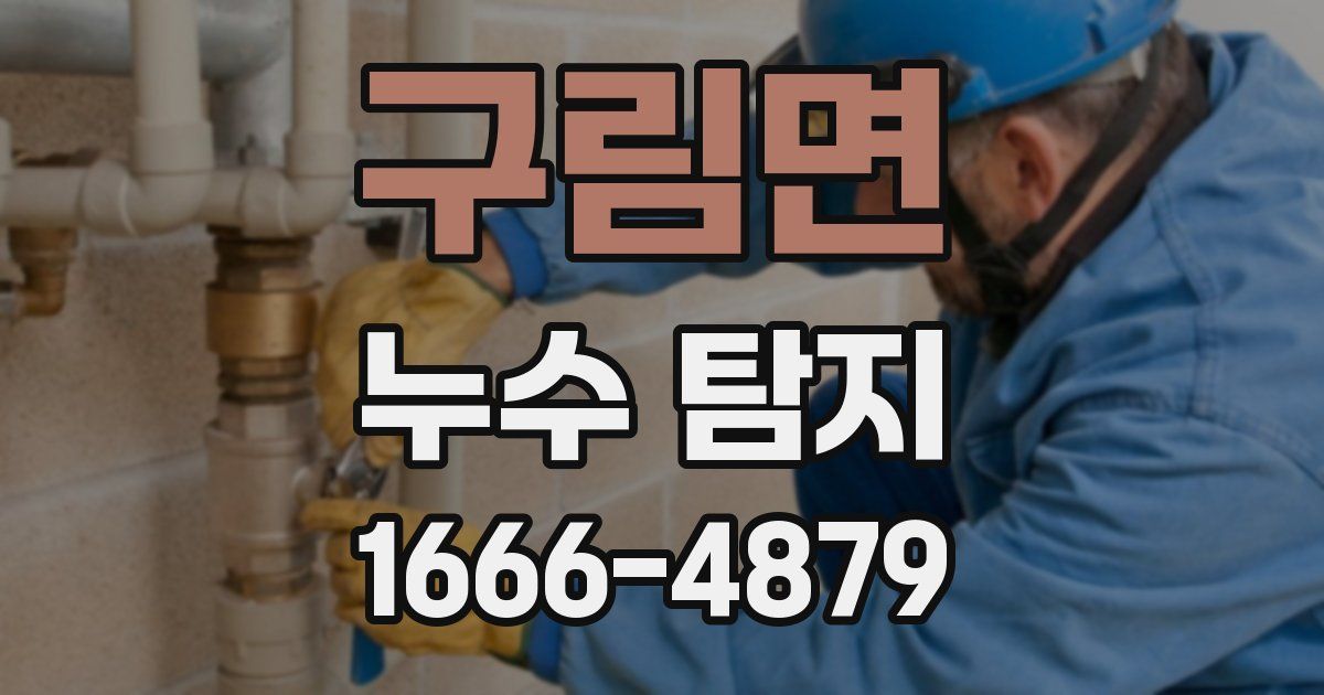 구림면 누수 탐지