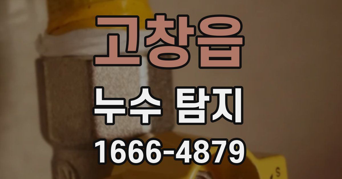 고창읍 누수 탐지
