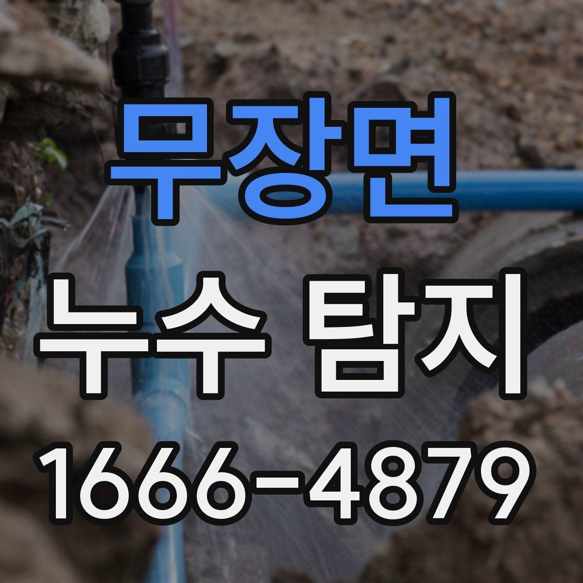 무장면 누수 탐지