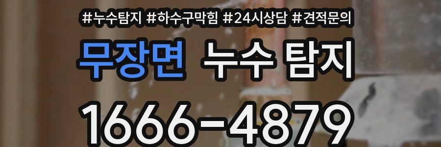 무장면 누수 탐지