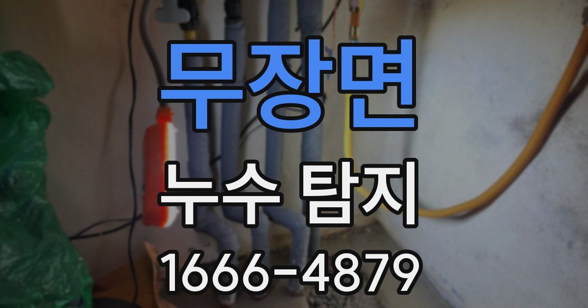 무장면 누수 탐지