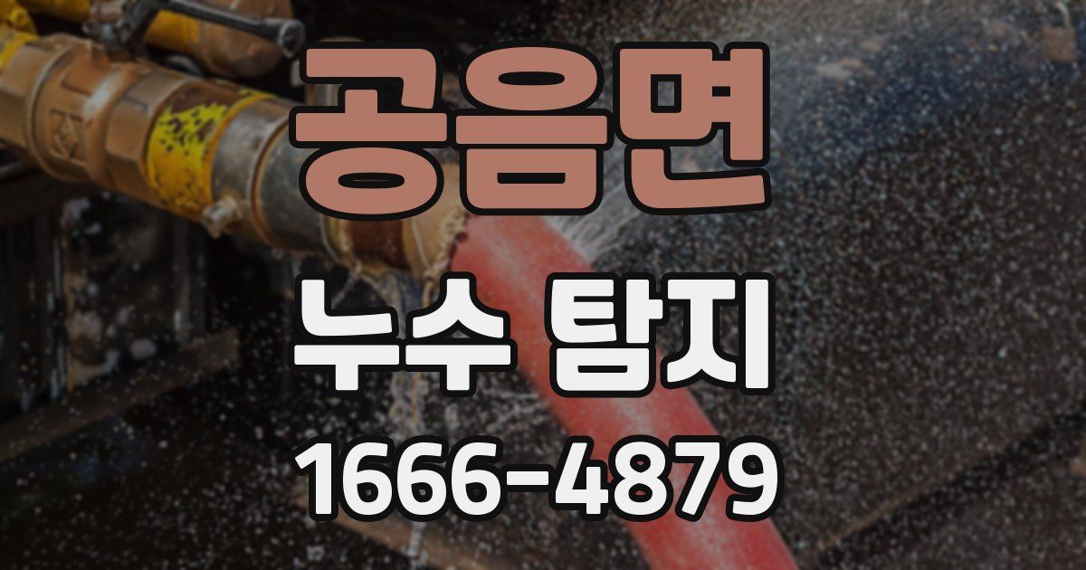 공음면 누수 탐지