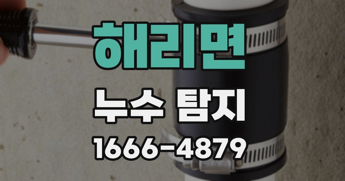 해리면 누수 탐지
