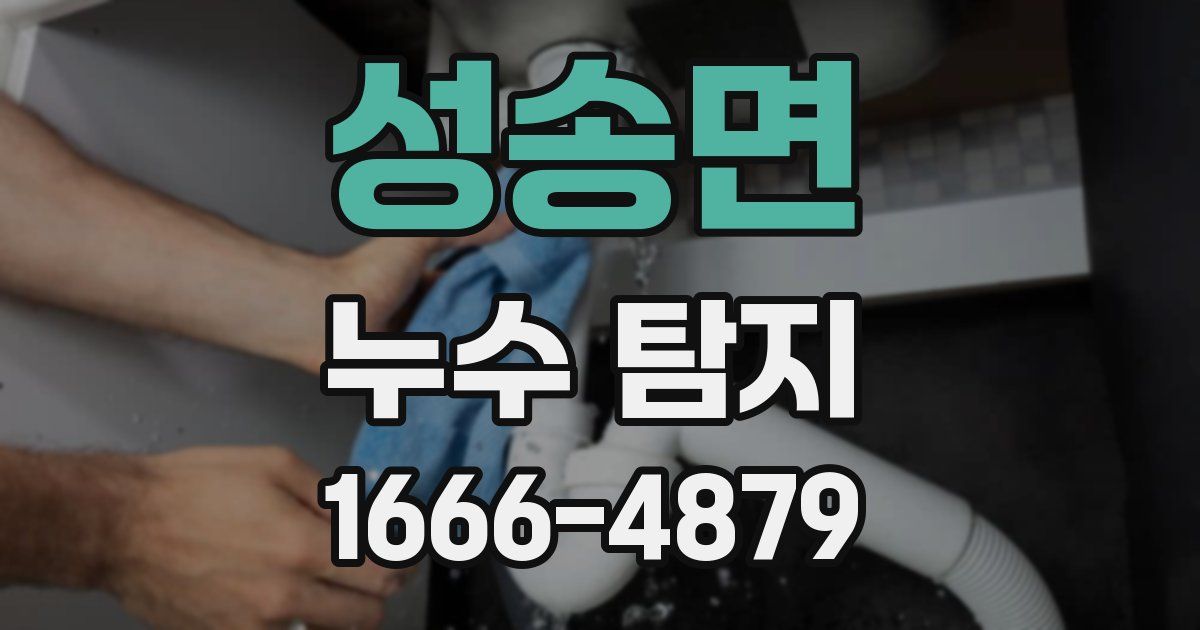 성송면 누수 탐지