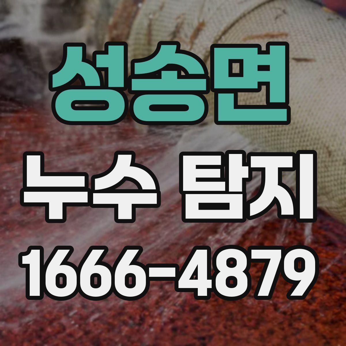 성송면 누수 탐지