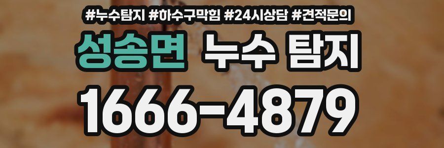 성송면 누수 탐지