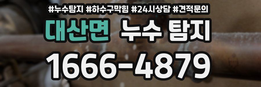 대산면 누수 탐지