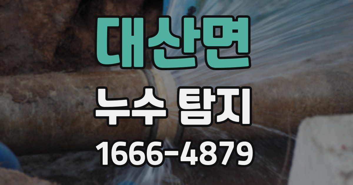 대산면 누수 탐지