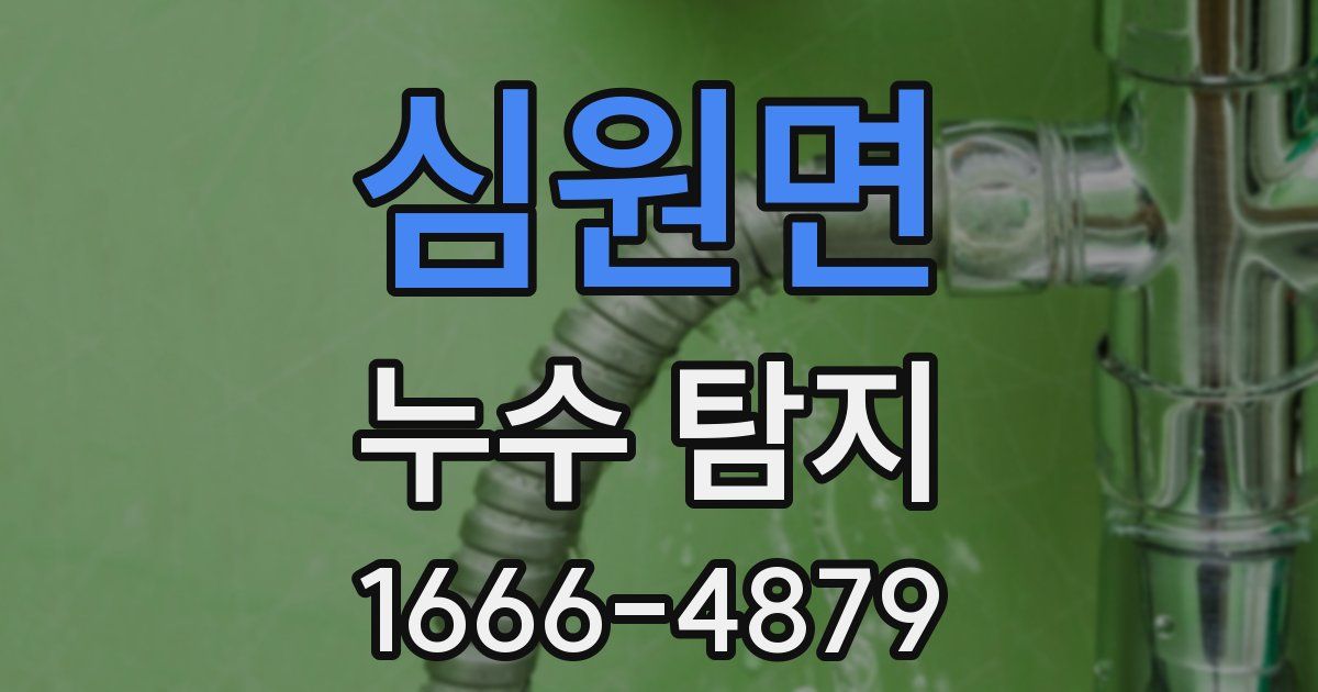 심원면 누수 탐지