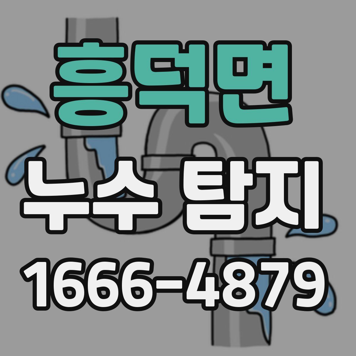 흥덕면 누수 탐지