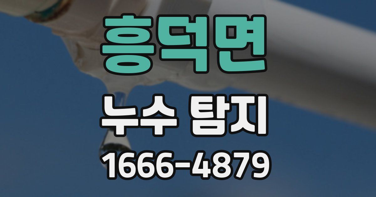 흥덕면 누수 탐지