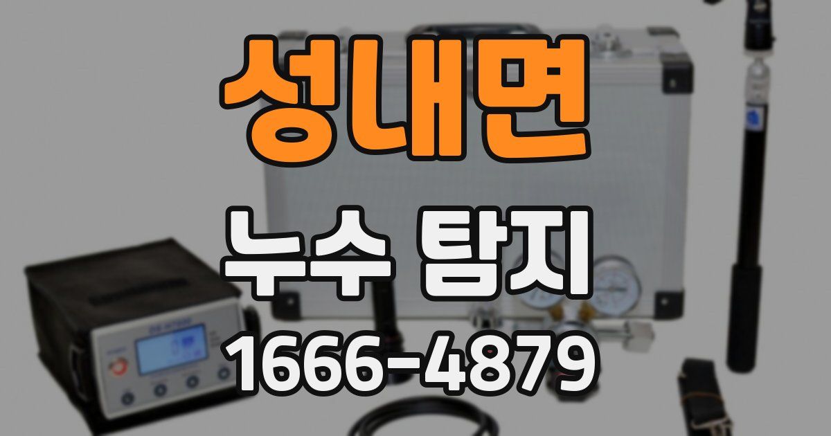 성내면 누수 탐지