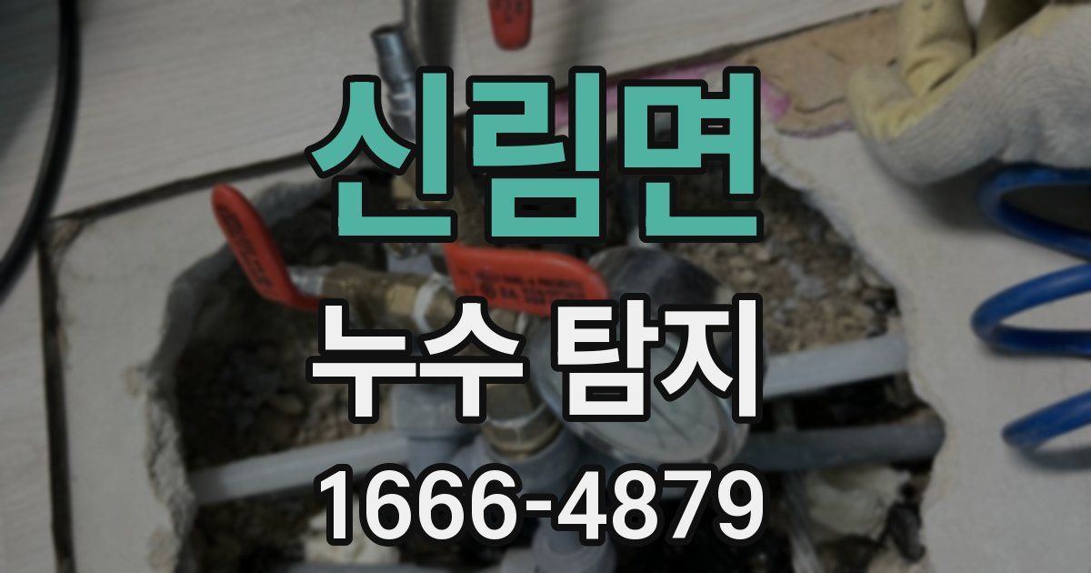 신림면 누수 탐지