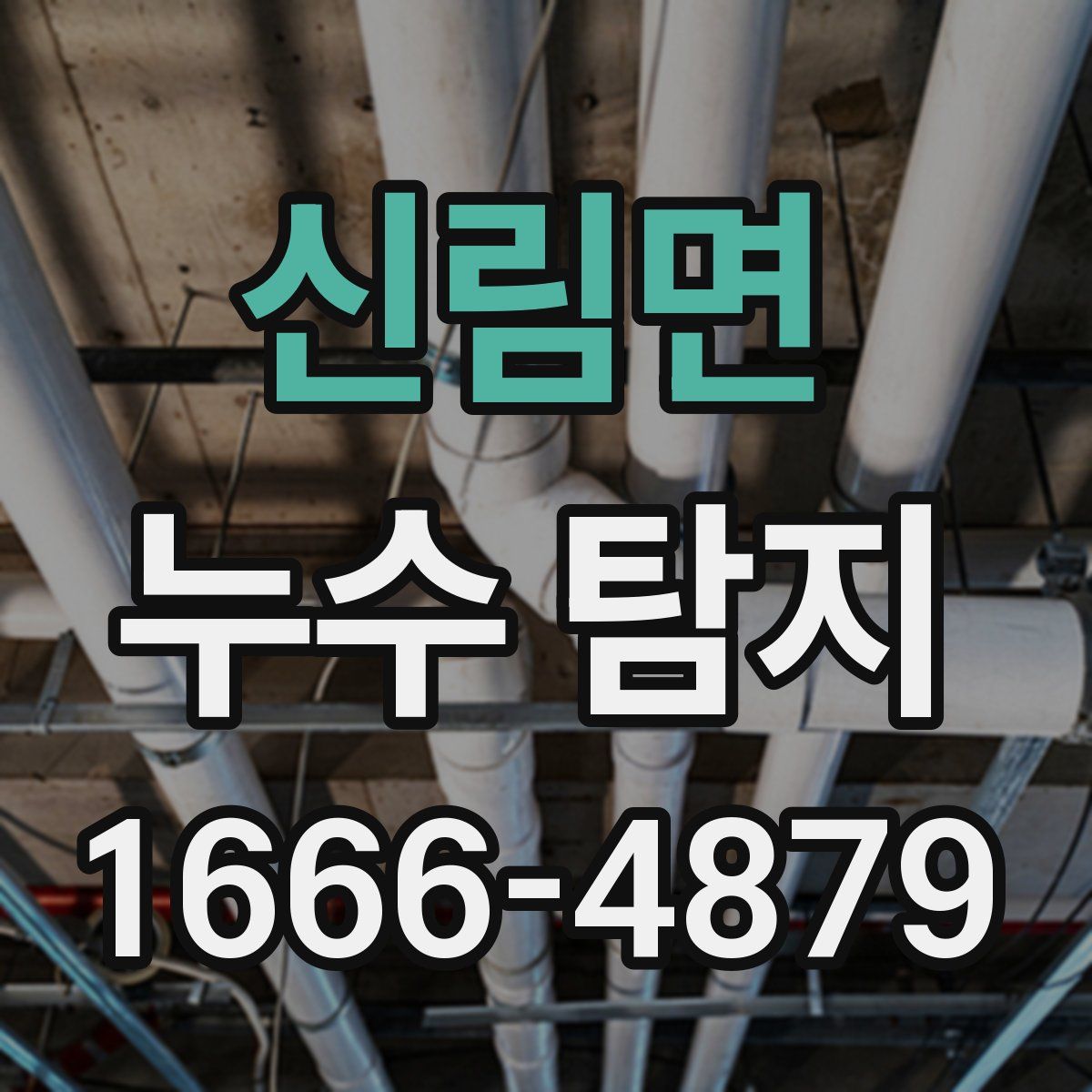신림면 누수 탐지