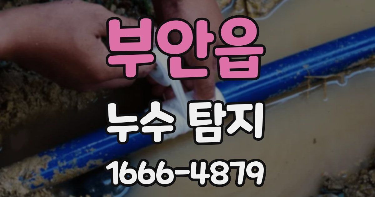 부안읍 누수 탐지