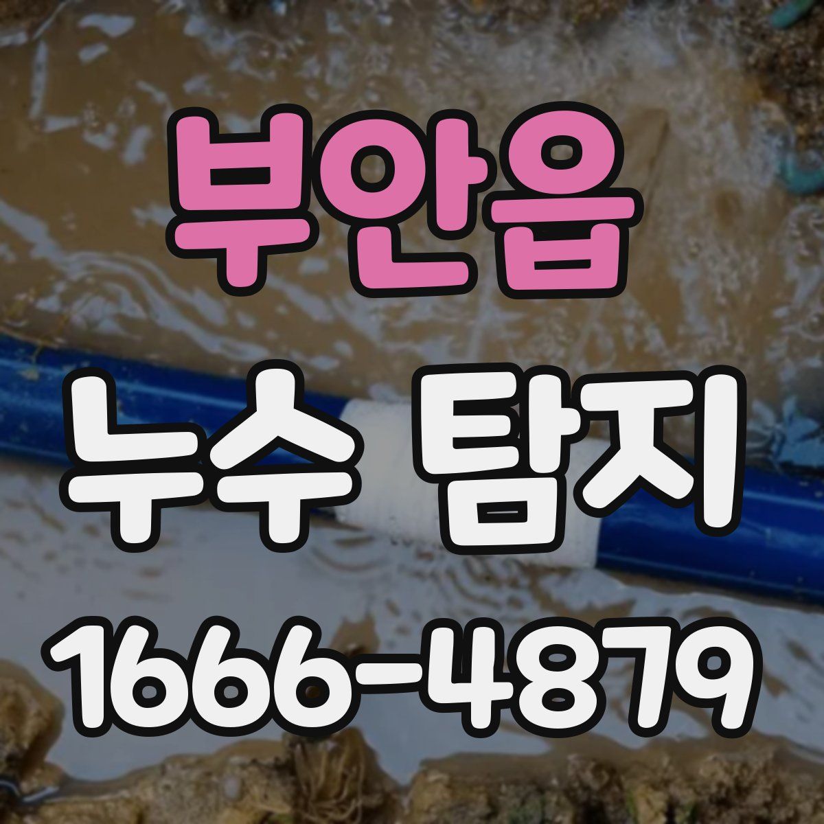 부안읍 누수 탐지