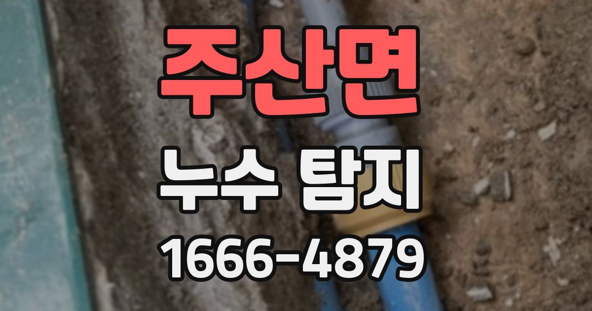주산면 누수 탐지