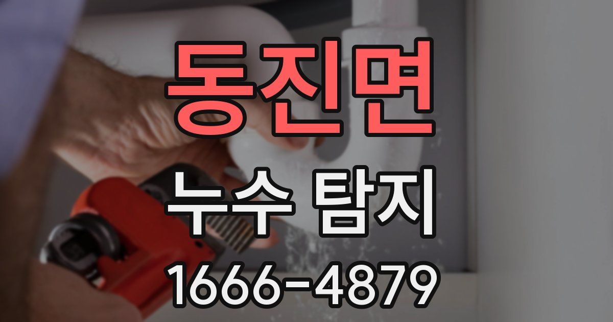 동진면 누수 탐지