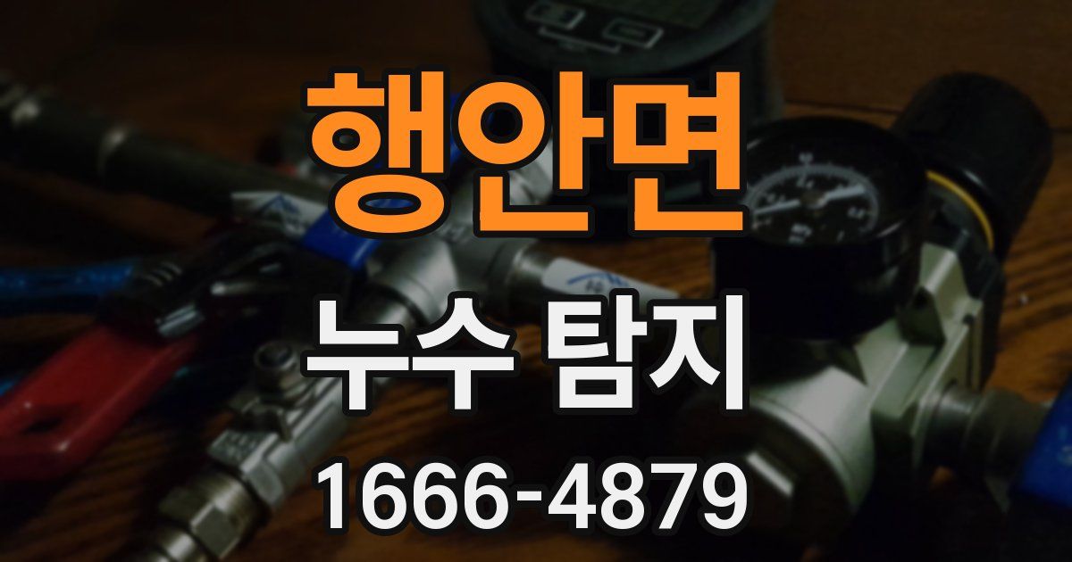 행안면 누수 탐지