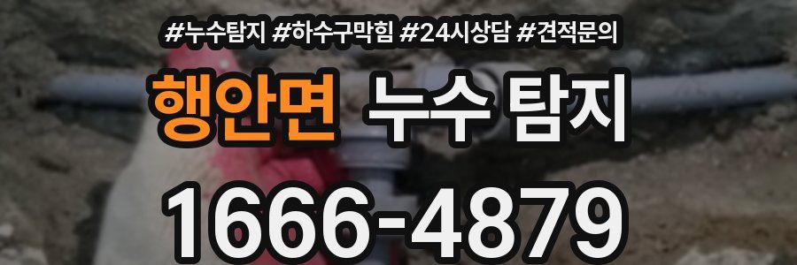 행안면 누수 탐지