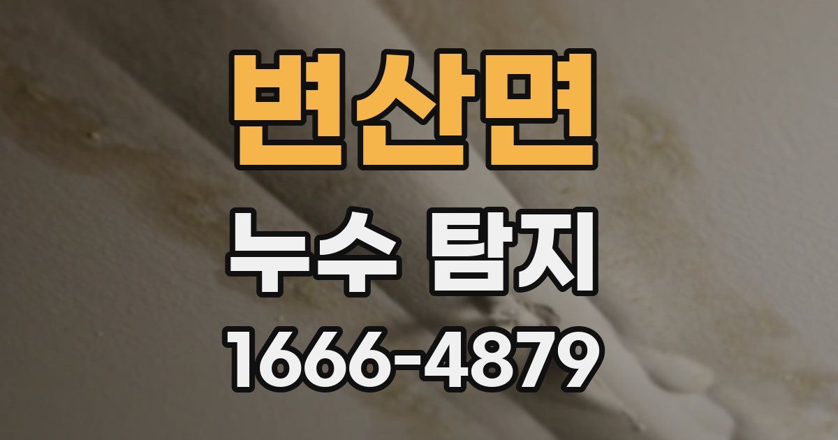 변산면 누수 탐지