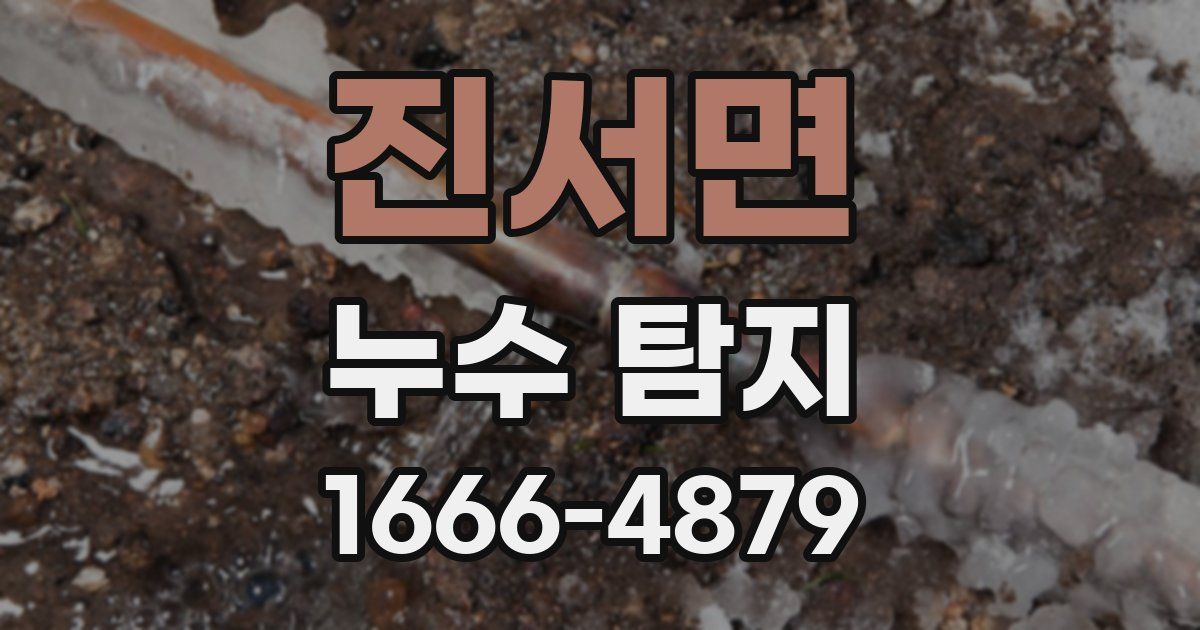 진서면 누수 탐지